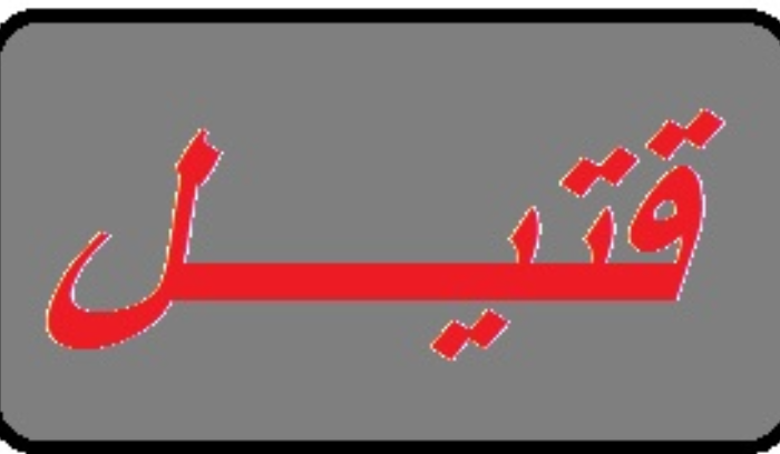 قتيل بإشكال عائلي بين شقيقين في وادي خالد العكارية