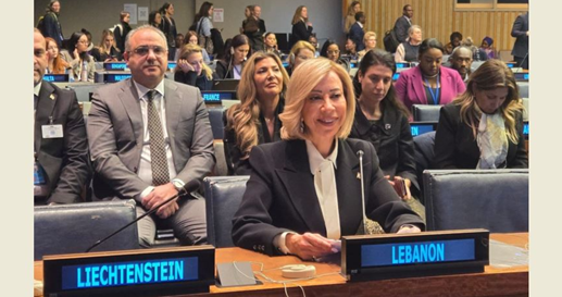 اللبنانية الأولى ألقت كلمة لبنان في الدورة الـ 69 لمؤتمر "وضع المرأة" في الأمم المتحدة: ملتزمون استكمال ورشة الاصلاحات وحملات التوعية ونأمل في أن يكون للمرأة حصة وازنة في التعيينات المقبلة