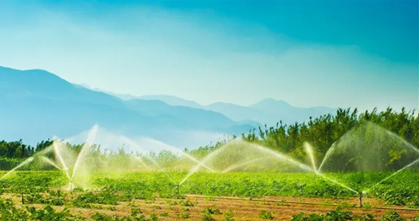 اللجنة الوطنية للري ناقشت في وزارة الزراعة إدارة الموارد المائية وتوصيات لمكافحة آثار الجفاف