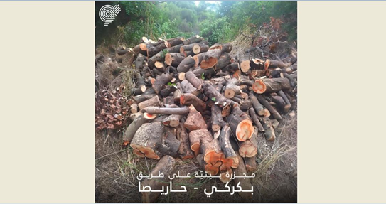 جمعيّة "الأرض": مجزرة بيئيّة بين بكركي ودرعون